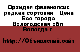 Орхидея фаленопсис редкая сортовая › Цена ­ 800 - Все города  »    . Вологодская обл.,Вологда г.